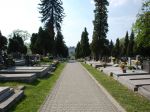 Cmentarz Ewangelicko-Augbsburski